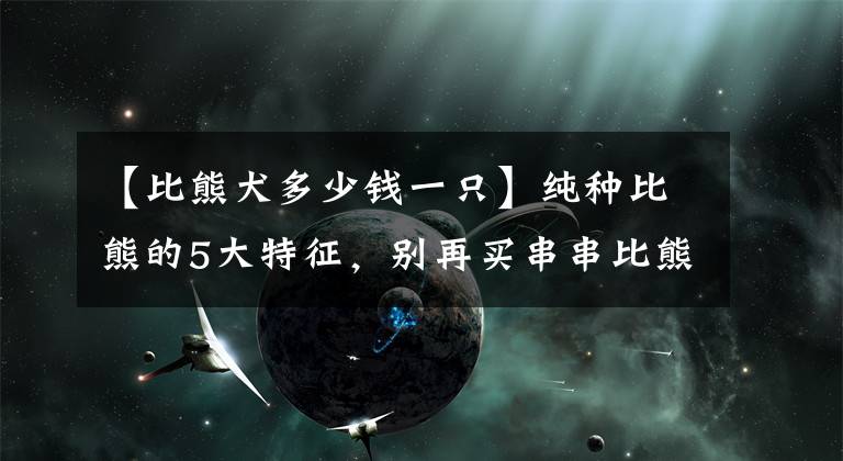 【比熊犬多少錢一只】純種比熊的5大特征，別再買串串比熊了