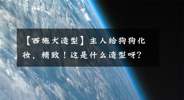 【西施犬造型】主人給狗狗化妝，精致！這是什么造型呀？網(wǎng)友：瓔珞是你嗎？！