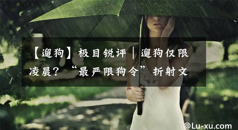 【遛狗】極目銳評(píng)｜遛狗僅限凌晨？“最嚴(yán)限狗令”折射文明養(yǎng)狗課題