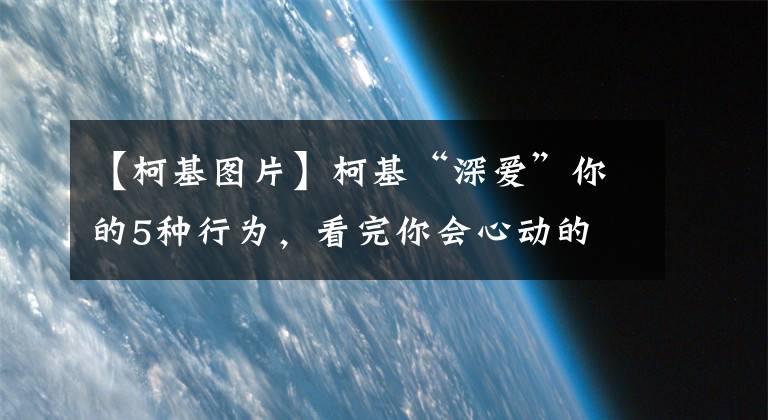 【柯基圖片】柯基“深愛”你的5種行為，看完你會心動的