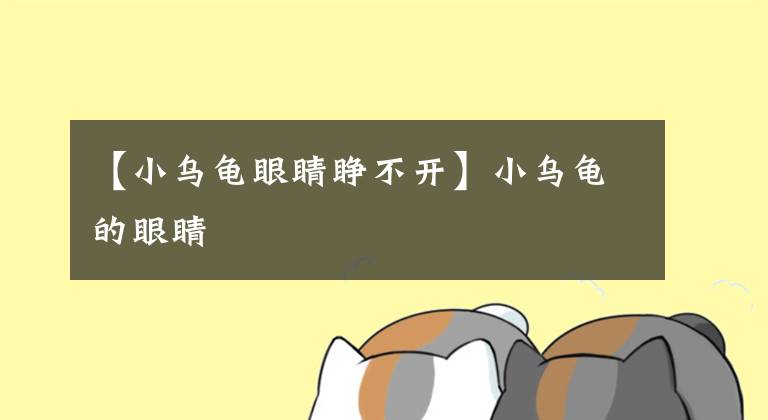 【小烏龜眼睛睜不開】小烏龜?shù)难劬?></a></div> <div   id=