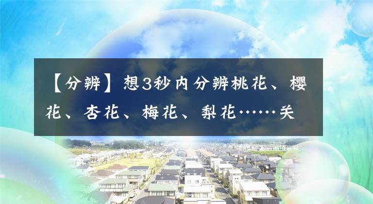 【分辨】想3秒內(nèi)分辨桃花、櫻花、杏花、梅花、梨花……關(guān)鍵看5個地方