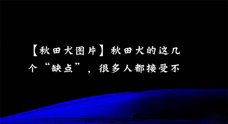 【秋田犬圖片】秋田犬的這幾個“缺點”，很多人都接受不了