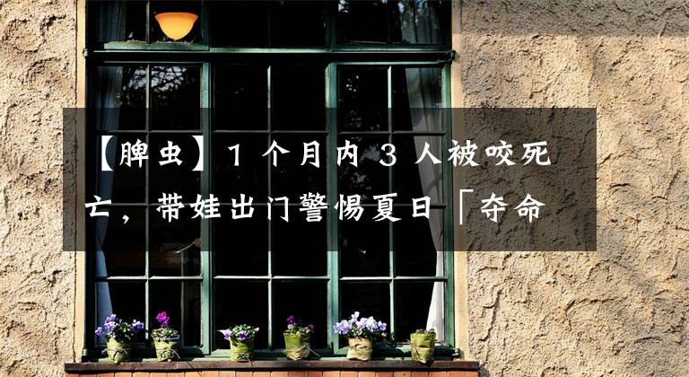 【脾蟲(chóng)】1 個(gè)月內(nèi) 3 人被咬死亡，帶娃出門警惕夏日「奪命蜱蟲(chóng)」