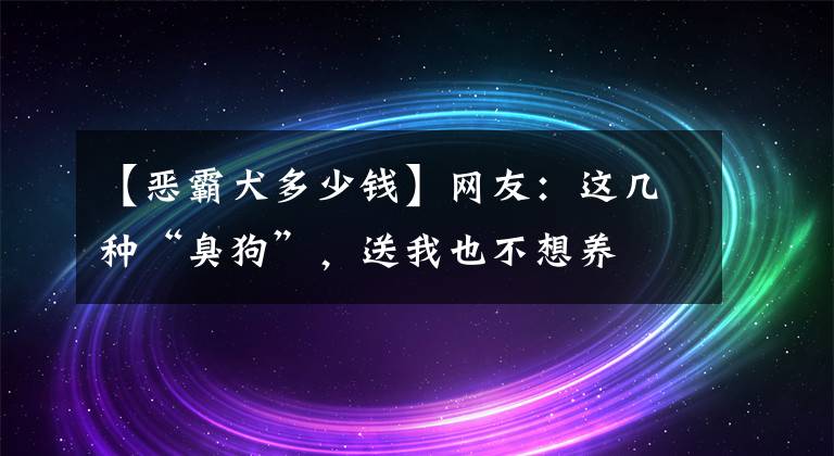 【惡霸犬多少錢】網(wǎng)友：這幾種“臭狗”，送我也不想養(yǎng)