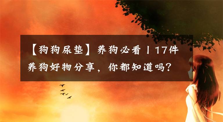 【狗狗尿墊】養(yǎng)狗必看丨17件養(yǎng)狗好物分享，你都知道嗎？