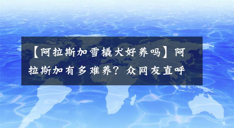 【阿拉斯加雪橇犬好養(yǎng)嗎】阿拉斯加有多難養(yǎng)？眾網(wǎng)友直呼養(yǎng)不起