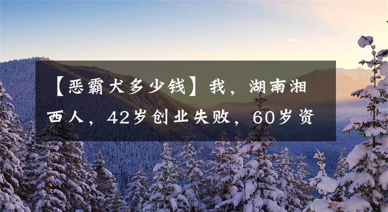 【惡霸犬多少錢】我，湖南湘西人，42歲創(chuàng)業(yè)失敗，60歲資產近億，陪73歲大姐再創(chuàng)業(yè)