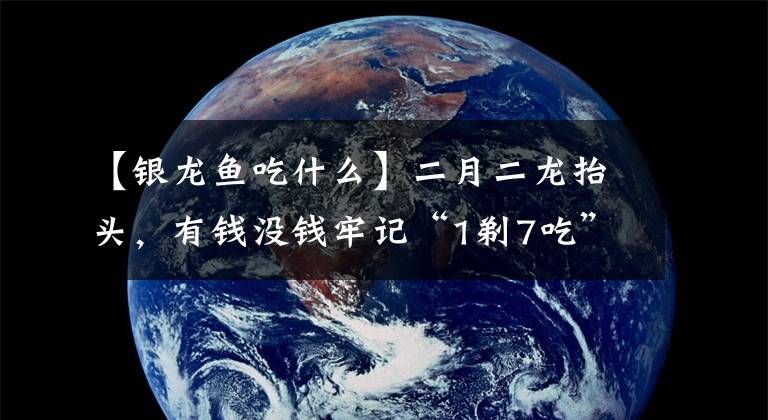 【銀龍魚吃什么】二月二龍?zhí)ь^，有錢沒錢牢記“1剃7吃”沾龍氣，一年都有好彩頭