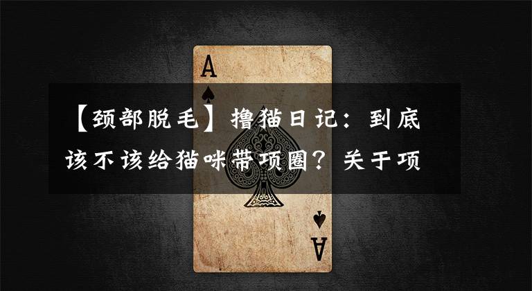 【頸部脫毛】擼貓日記：到底該不該給貓咪帶項(xiàng)圈？關(guān)于項(xiàng)圈的那些事