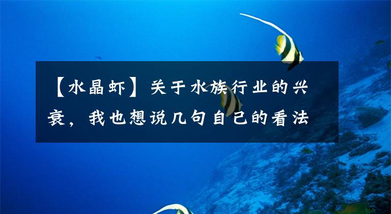 【水晶蝦】關(guān)于水族行業(yè)的興衰，我也想說幾句自己的看法