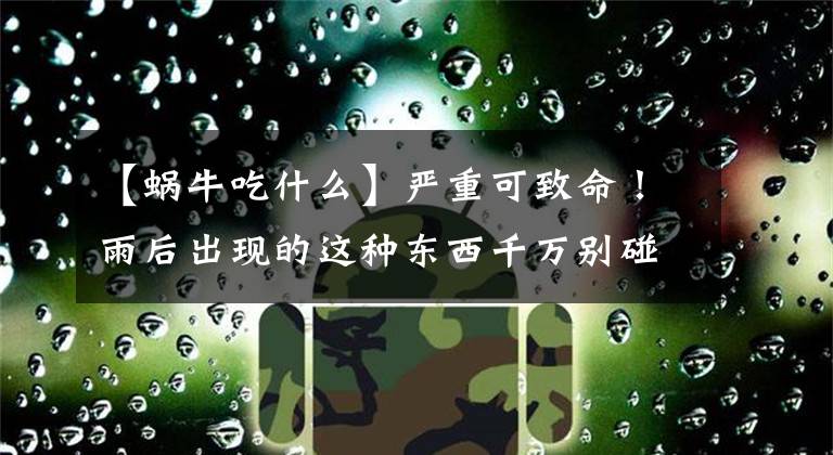 【蝸牛吃什么】嚴(yán)重可致命！雨后出現(xiàn)的這種東西千萬別碰