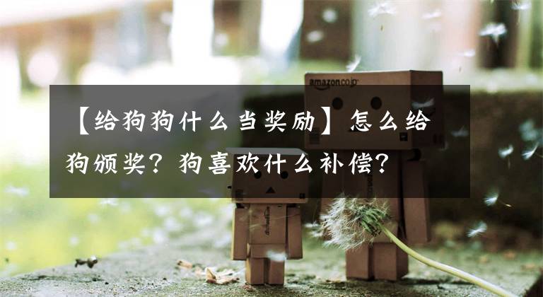 【給狗狗什么當(dāng)獎(jiǎng)勵(lì)】怎么給狗頒獎(jiǎng)？狗喜歡什么補(bǔ)償？