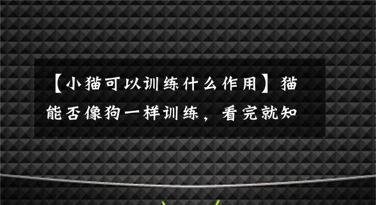 【小貓可以訓(xùn)練什么作用】貓能否像狗一樣訓(xùn)練，看完就知道了。