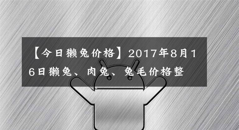 【今日獺兔價格】2017年8月16日獺兔、肉兔、兔毛價格整