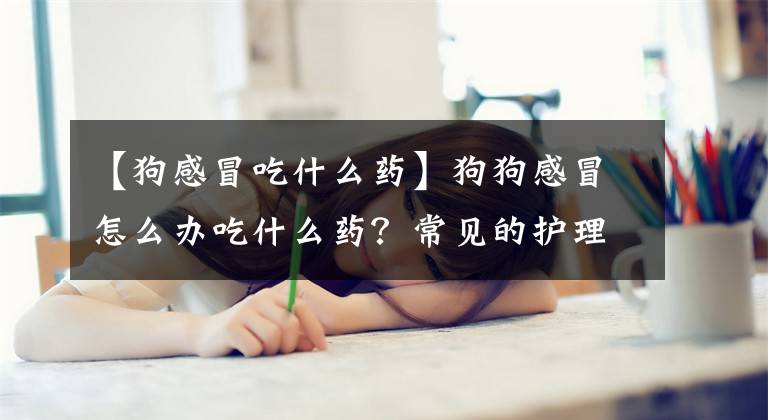 【狗感冒吃什么藥】狗狗感冒怎么辦吃什么藥？常見的護理感冒的措施