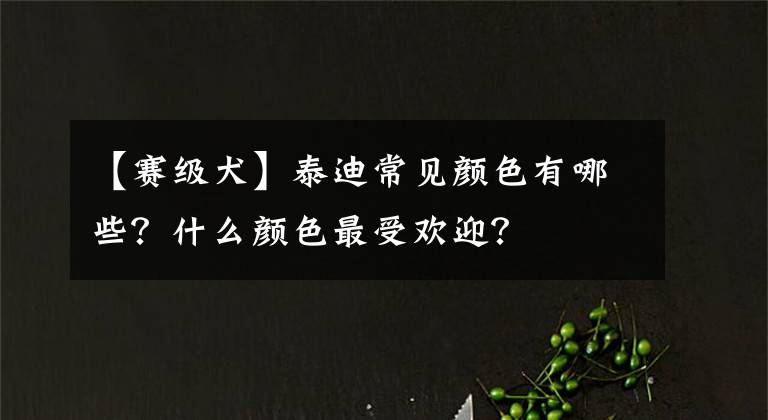 【賽級(jí)犬】泰迪常見(jiàn)顏色有哪些？什么顏色最受歡迎？