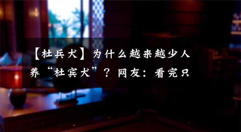 【杜兵犬】為什么越來越少人養(yǎng)“杜賓犬”？網(wǎng)友：看完只想換狗