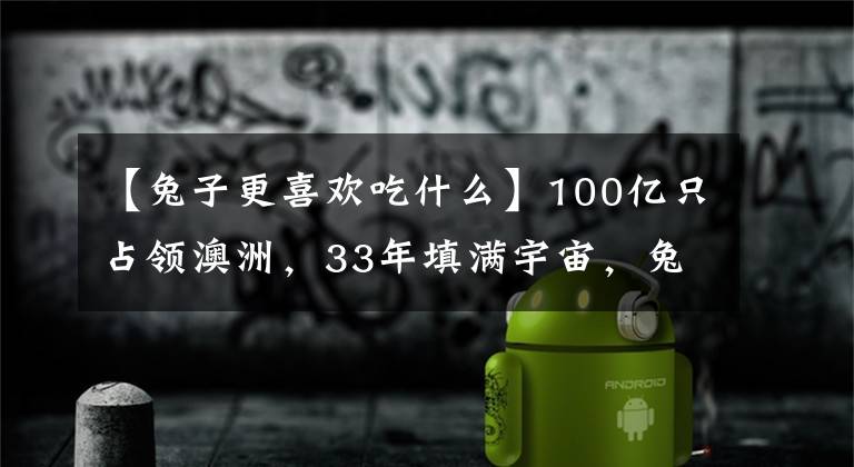 【兔子更喜歡吃什么】100億只占領(lǐng)澳洲，33年填滿宇宙，兔子還有哪些驚人的特征？