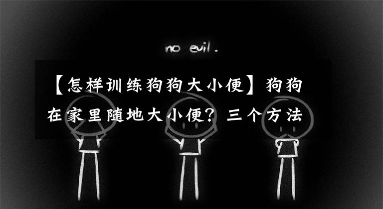 【怎樣訓(xùn)練狗狗大小便】狗狗在家里隨地大小便？三個(gè)方法教你訓(xùn)練狗狗到固定地方大小便