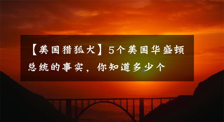 【美國獵狐犬】5個(gè)美國華盛頓總統(tǒng)的事實(shí)，你知道多少個(gè)