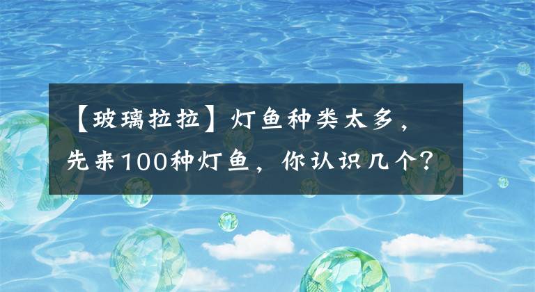 【玻璃拉拉】燈魚(yú)種類太多，先來(lái)100種燈魚(yú)，你認(rèn)識(shí)幾個(gè)？