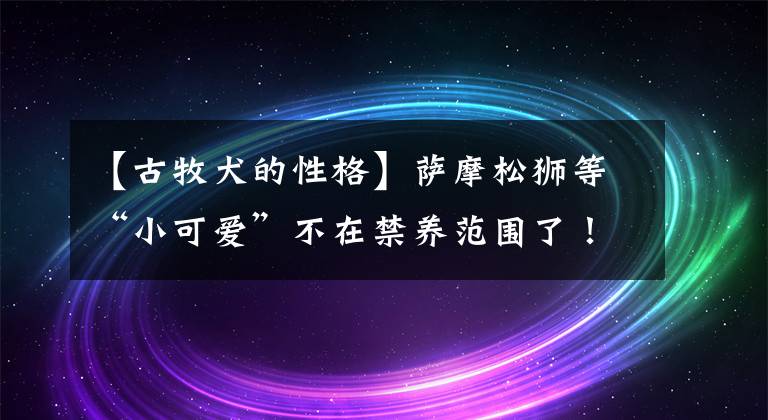 【古牧犬的性格】薩摩松獅等“小可愛”不在禁養(yǎng)范圍了！《德州市禁養(yǎng)犬名錄》第二次公開征求意見…