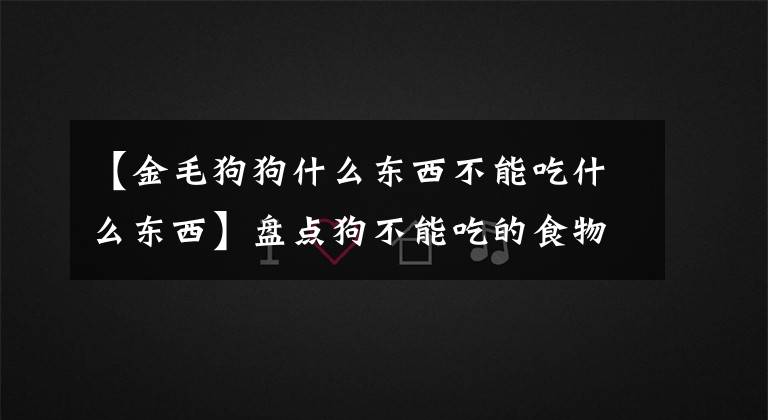 【金毛狗狗什么東西不能吃什么東西】盤點(diǎn)狗不能吃的食物