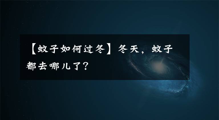 【蚊子如何過(guò)冬】冬天，蚊子都去哪兒了？