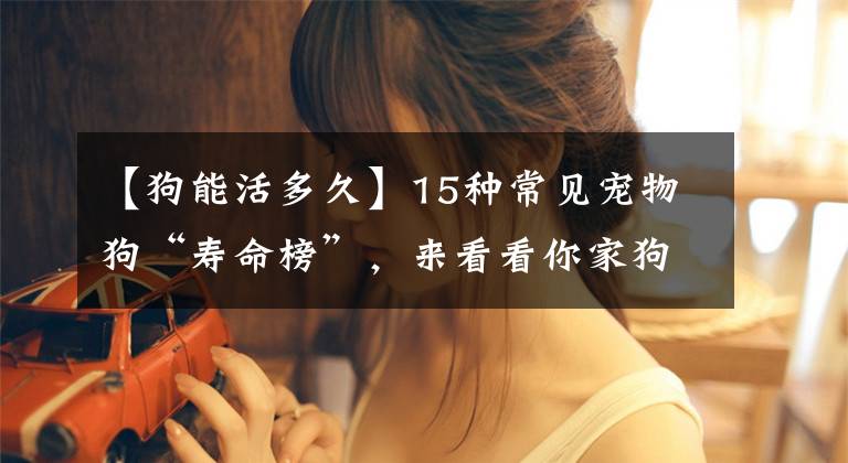 【狗能活多久】15種常見(jiàn)寵物狗“壽命榜”，來(lái)看看你家狗狗能活多久？