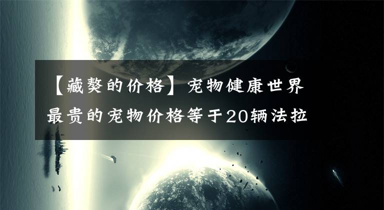 【藏獒的價格】寵物健康世界最貴的寵物價格等于20輛法拉利最后一只藏獒都比不了