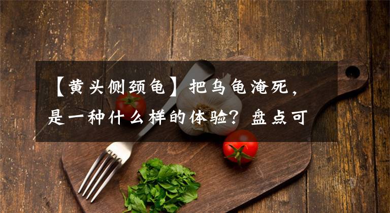 【黃頭側(cè)頸龜】把烏龜淹死，是一種什么樣的體驗(yàn)？盤(pán)點(diǎn)可能出現(xiàn)在魚(yú)缸里的八種龜