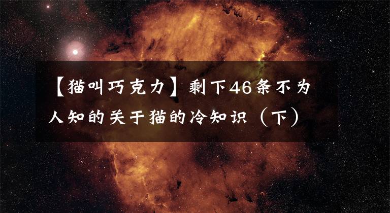 【貓叫巧克力】剩下46條不為人知的關(guān)于貓的冷知識(shí)（下）