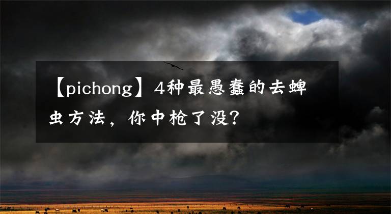 【pichong】4種最愚蠢的去蜱蟲方法，你中槍了沒？