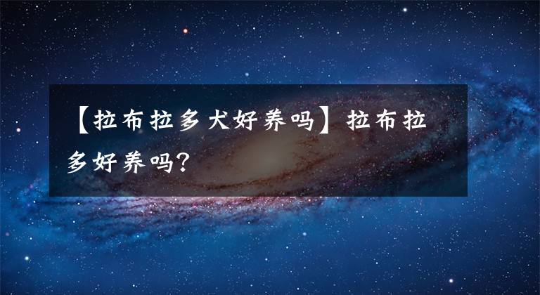 【拉布拉多犬好養(yǎng)嗎】拉布拉多好養(yǎng)嗎？