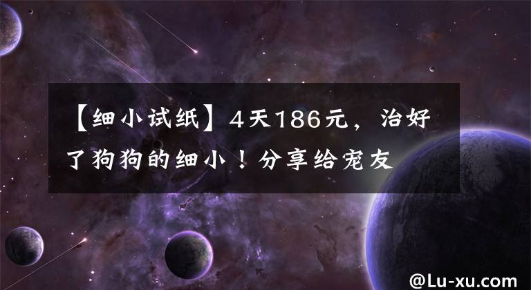 【細小試紙】4天186元，治好了狗狗的細小！分享給寵友