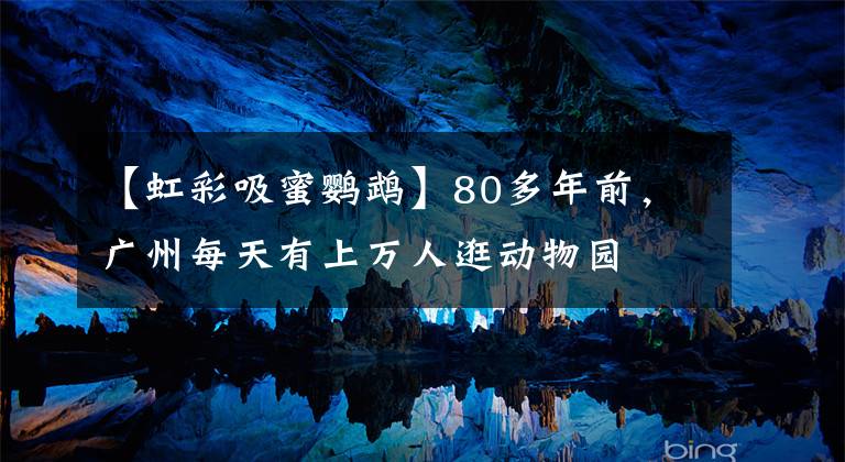 【虹彩吸蜜鸚鵡】80多年前，廣州每天有上萬人逛動(dòng)物園