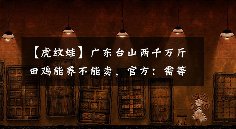 【虎紋蛙】廣東臺山兩千萬斤田雞能養(yǎng)不能賣，官方：需等待新名錄出臺