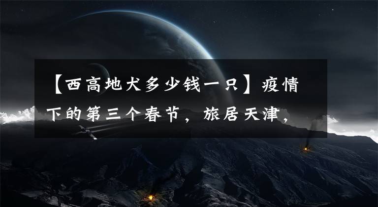 【西高地犬多少錢(qián)一只】疫情下的第三個(gè)春節(jié)，旅居天津，遭遇奧密克戎