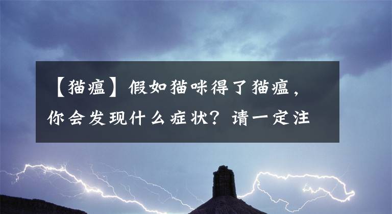 【貓瘟】假如貓咪得了貓瘟，你會(huì)發(fā)現(xiàn)什么癥狀？請(qǐng)一定注意這個(gè)春季殺手