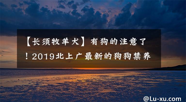 【長須牧羊犬】有狗的注意了！2019北上廣最新的狗狗禁養(yǎng)名單都在這了