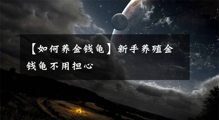 【如何養(yǎng)金錢龜】新手養(yǎng)殖金錢龜不用擔(dān)心