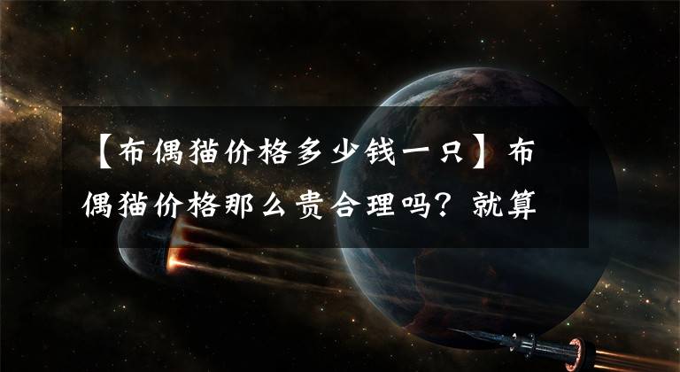 【布偶貓價格多少錢一只】布偶貓價格那么貴合理嗎？就算買得起也不一定適合養(yǎng)