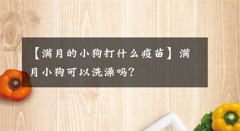 【滿月的小狗打什么疫苗】滿月小狗可以洗澡嗎？