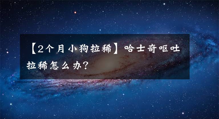 【2個月小狗拉稀】哈士奇嘔吐拉稀怎么辦？