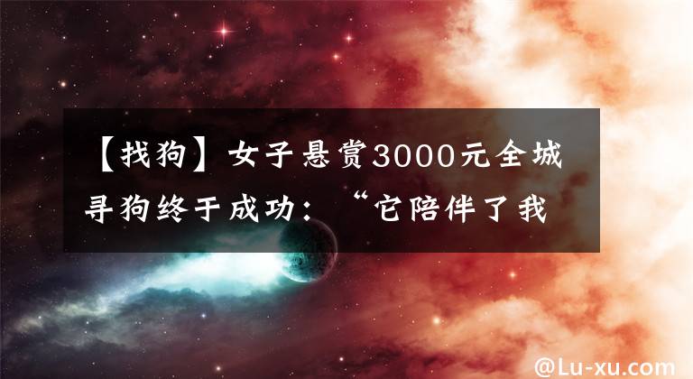 【找狗】女子懸賞3000元全城尋狗終于成功：“它陪伴了我五年青春”