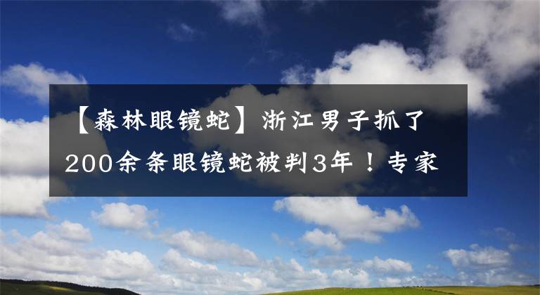 【森林眼鏡蛇】浙江男子抓了200余條眼鏡蛇被判3年！專家：保護動物，每條1000元