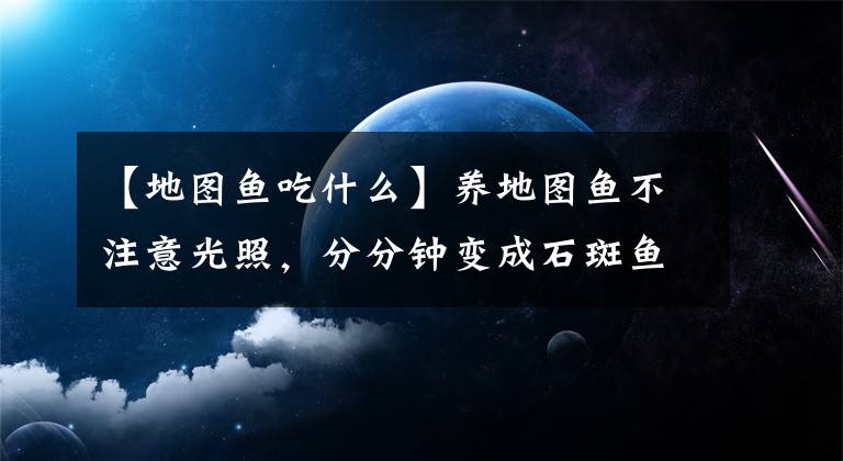 【地圖魚(yú)吃什么】養(yǎng)地圖魚(yú)不注意光照，分分鐘變成石斑魚(yú)