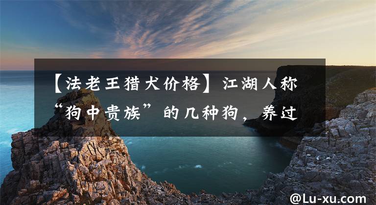 【法老王獵犬價格】江湖人稱“狗中貴族”的幾種狗，養(yǎng)過的都是牛人