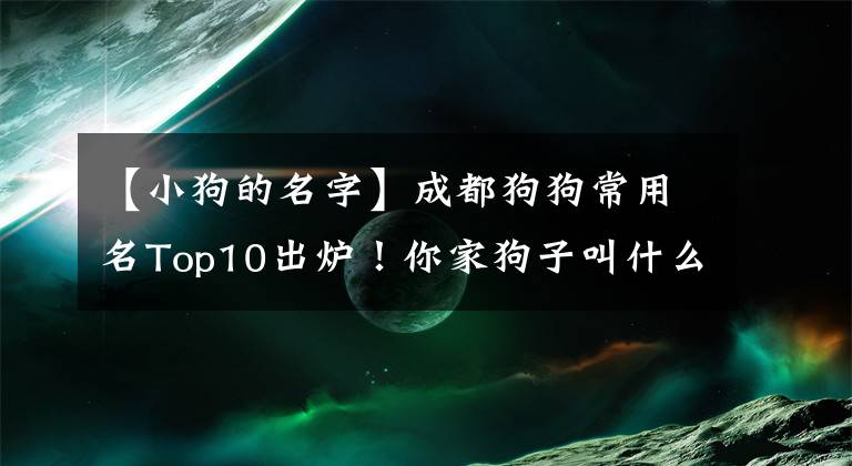 【小狗的名字】成都狗狗常用名Top10出爐！你家狗子叫什么？